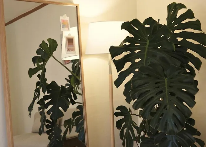 4 Minutes On Foot From Sinchon Station, Hongdae, Hapjeong, Myeongdong Near Daiso And Department Stores 2 And 1 Bathroom, Luggage Storage 아파트 *